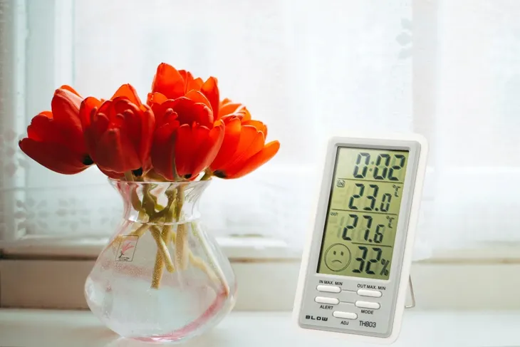 termo-higrometr-blow-th803-funkcje-pamiec-pomiarow-maksymalnych-i-minimalnych-pomiar-temperatury-wewnetrznej-pomiar-temperatury-zewnetrznej-pomiar-wilgotnosci-zegar