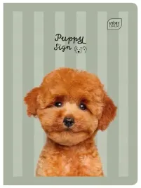 zeszyt-w-trzy-linie-a5-interdruk-32-kartek