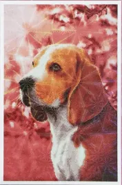 obraz-diamentowy-pies-malowanie-diamentami-40-x-60-cm-dekoracja-diamentowa