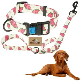 zestaw-obroza-smycz-dla-psa-wygodna-regulowana-kolorowa-bezpieczna-klamra-l