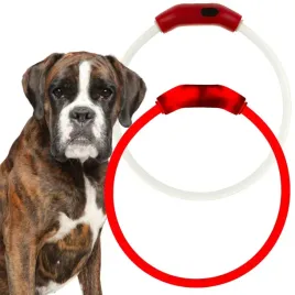 obroza-dla-psa-led-swiecaca-ladowana-usb-55-cm