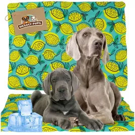 mata-chlodzaca-dla-duzego-olbrzymiego-psa-wodoodporna-na-lato-upal-xl-96x81