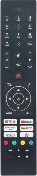 pilot-vestel-rc45135p-przeznaczenie-tv