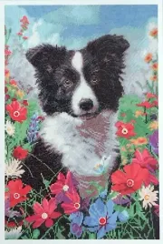 obraz-diamentowy-pies-malowanie-diamentami-40-x-60-cm-dekoracja-diamentowa