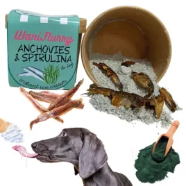 lody-dla-psa-przysmak-na-lato-waniflurry-anchovies-do-mrozenia-na-upal-ice