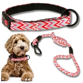 obroza-smycz-dla-psa-wygodna-regulowana-podszyta-neoprenem-na-klips