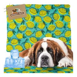 mata-chlodzaca-dla-olbrzymiego-psa-wodoodporna-na-lato-upal-xxl-120x80cm