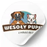 naklejka-wesoly-pupil