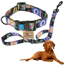 zestaw-obroza-smycz-dla-psa-wygodna-regulowana-kolorowa-bezpieczna-klamra-l