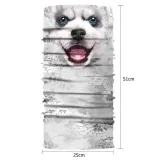 bandana-4240-white-dog