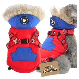 kurtka-dla-psa-l-ubranko-na-zime-ocieplane-z-szelkami-i-kapturem-3w1