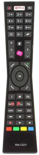 pilot-jvc-rm-c3231-przeznaczenie-tv
