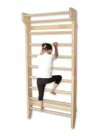 drabinka-gimnastyczna-treningowa-fitness-do-cwiczen-rehabilitacji-195cm
