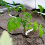 biowloknina-sciolkujaca-200g-m2-producent-poltops