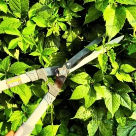 nozyce-do-zywoplotu-21-cm
