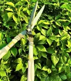 nozyce-do-zywoplotu-21-cm-dlugosc-60-cm