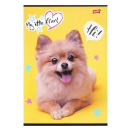 2-x-my-little-friend-zeszyt-a4-32-kratka-z-marginesem-dla-dziewczynki-8302