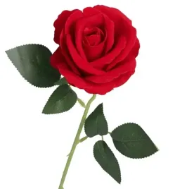 roza-welurowa-jak-zywa-sztuczne-kwiaty-roze-50cm