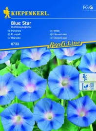 wilec-blue-star-8733