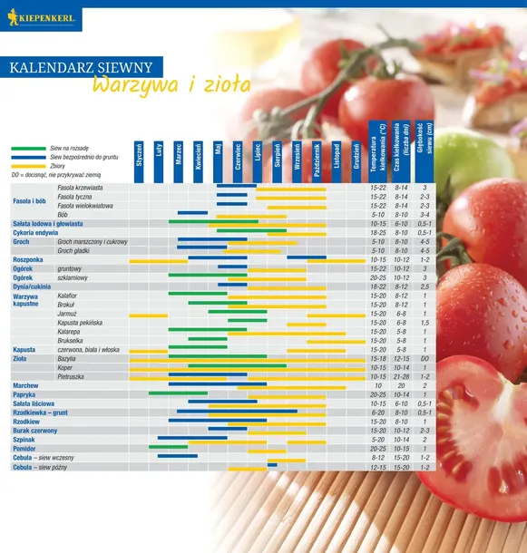 jarmuz-black-magic-8353-st-rodzaj-rosliny-inny