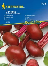 burak-cwiklowy-d-egypte-8452-st