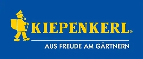 burak-cwiklowy-d-egypte-8452-st-rodzaj-rosliny-burak