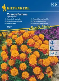 aksamitka-rozpierzchla-orangeflamme-8807