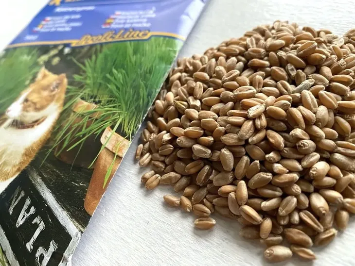 trawa-dla-kota-8875-kod-producenta-4000159088757