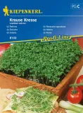 rzezucha-krause-8103-st