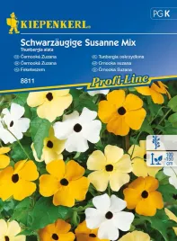 tunbergia-oskrzydlona-mieszanka-8811