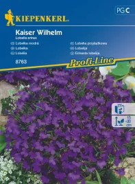 lobelia-przyladkowa-kaiser-wilhelm-8763