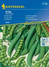 groch-zwyczajny-evita-8057-st