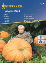 dynia-olbrzymia-atlantic-giant-8188-st