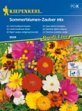 czar-letnich-kwiatow-8858