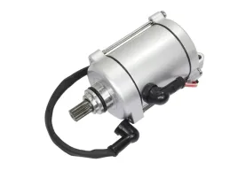 rozrusznik-atv-200-250-cg-bashan-loncin-11z