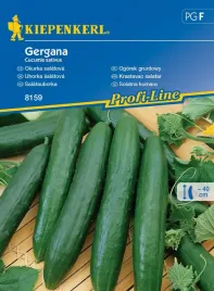 ogorek-gruntowy-gergana-8159-st