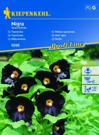 malwa-ogrodowa-nigra-8598