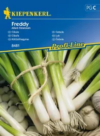 cebula-freddy-8481-st