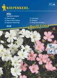 gipsowka-mix-8696