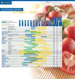 lubczyk-ogrodowy-8524-st-rodzaj-rosliny-inny