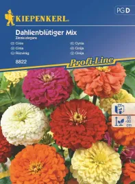 cynia-daliowa-mix-8822