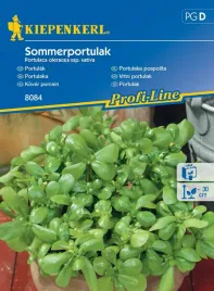 portulaka-pospolita-sommerportulak-8084-st