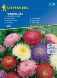 aster-chinski-prinzess-mix-8637