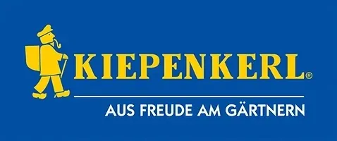 pomidor-cherry-indigo-8258-st-stan-nowy