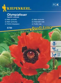 mak-wschodni-olympiafeuer-8789