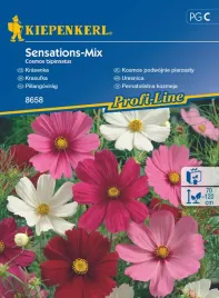 kosmos-podwojnie-pierzasty-sensations-mix-8658