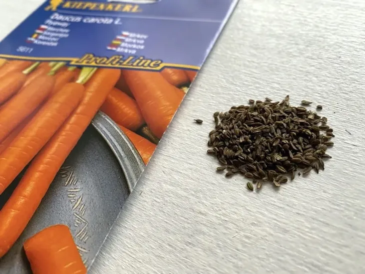 marchew-flyaway-8388-st-stan-nowy