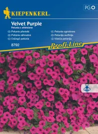 petunia-zwisajaca-velvet-purple-f1-8792