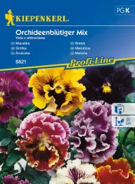 bratek-orchideeblutige-mieszanka-8821