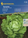 salata-dynamite-8142-st